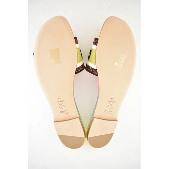 Christian Dior Dway Rainbow Multicolor Embroidered Logo Slide Flat Sandal 40 - Picture 12 of 12